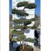 Bonsai   Juniperus Blue Carpet 180cm 